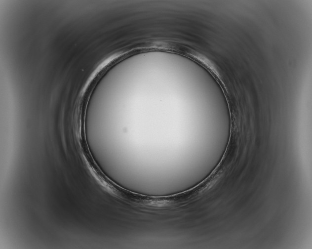 X0000086331131200704202036