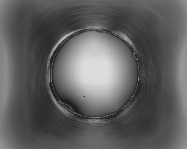 X0000086331132200704202036