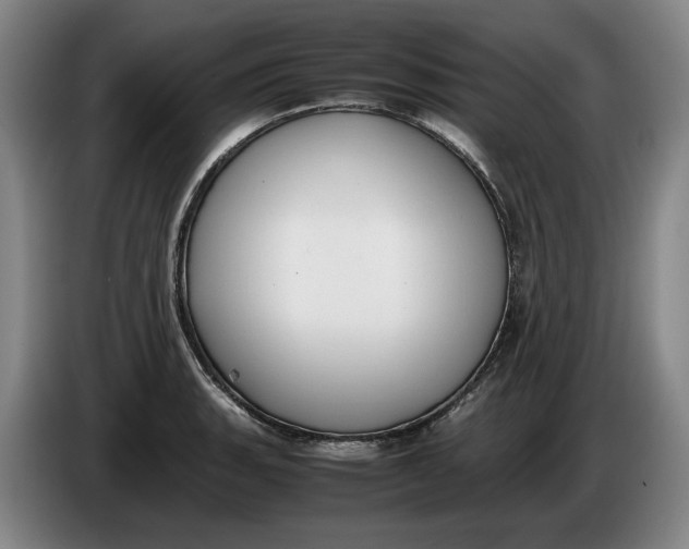 X0000086331135200704202036