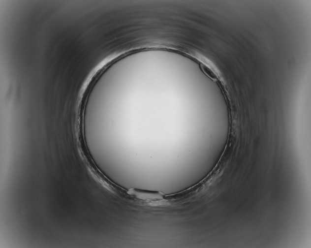 X0000086331136200704202036