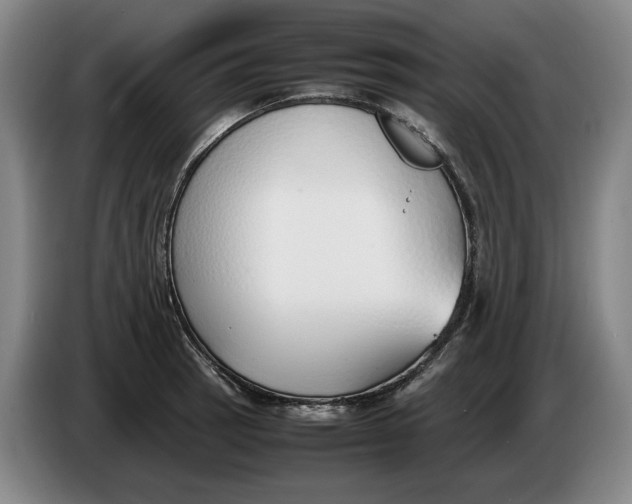 X0000086331137200704202036