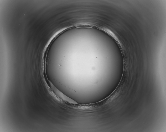 X0000086331140200704202036