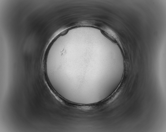 X0000086331141200704202036