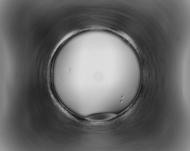 X0000086331142200704202036