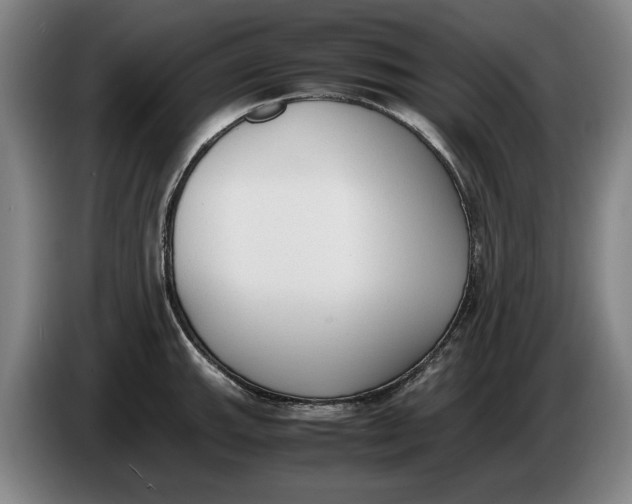 X0000086331143200704202036