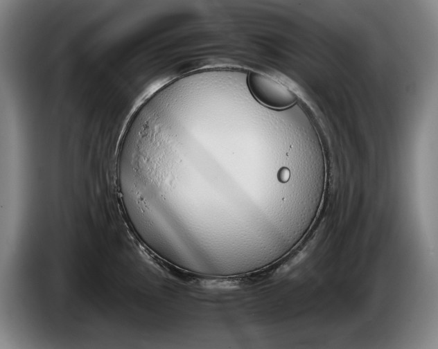 X0000086331145200704202036