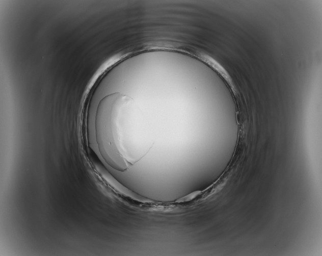 X0000086331146200704202036