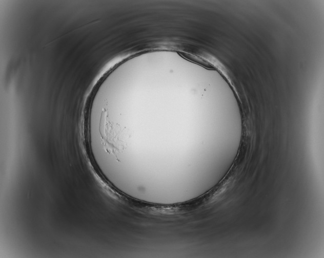 X0000086331147200704202036