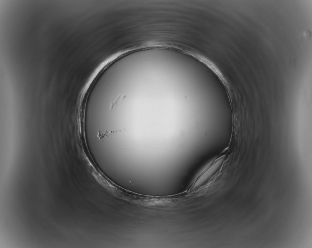 X0000086331148200704202036