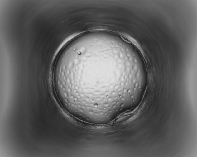 X0000086331149200704202036