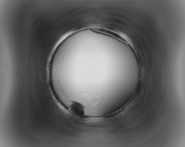 X0000086331151200704202036