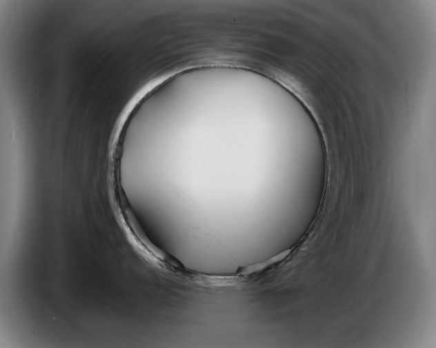 X0000086331152200704202036