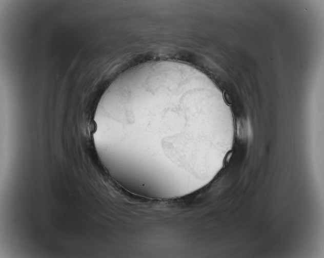 X0000086331155200704202036