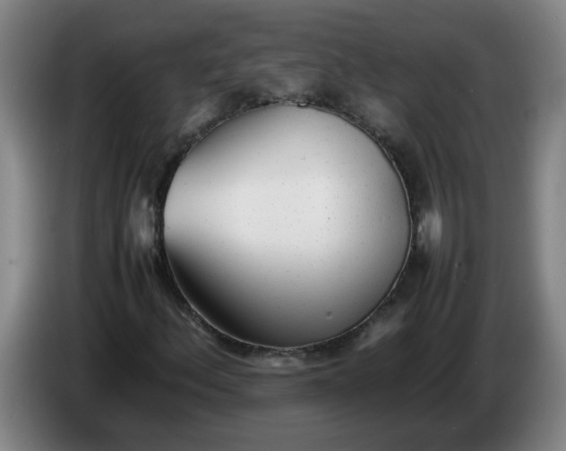 X0000086331156200704202036