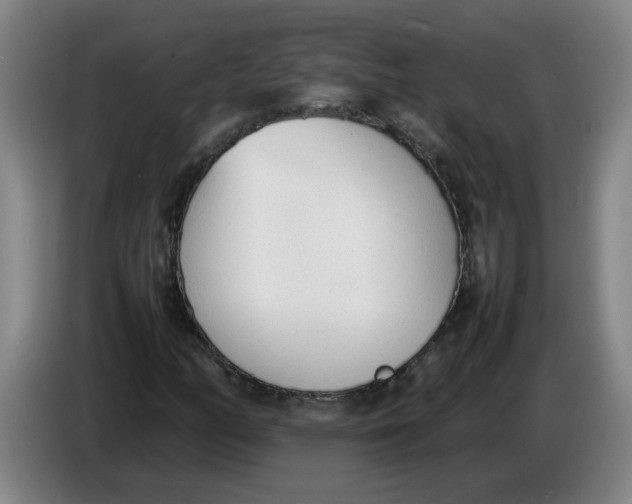 X0000086331158200704202036