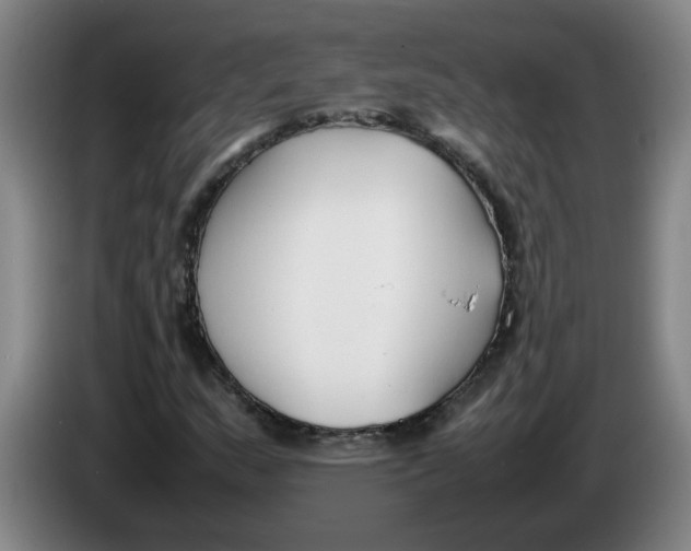 X0000086331159200704202036