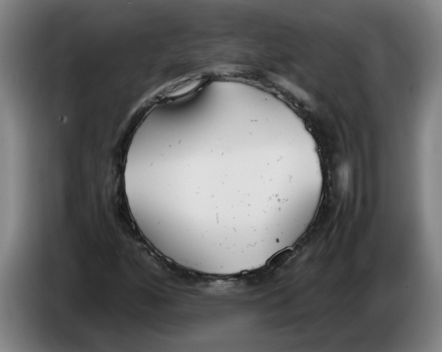 X0000086331160200704202036