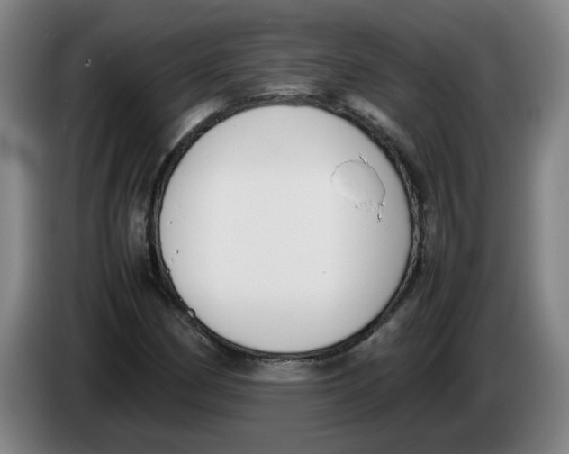 X0000086331162200704202036