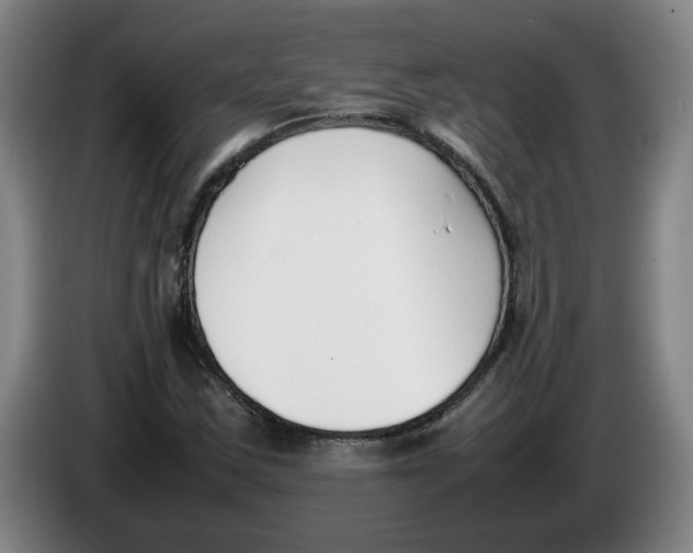 X0000086331163200704202036