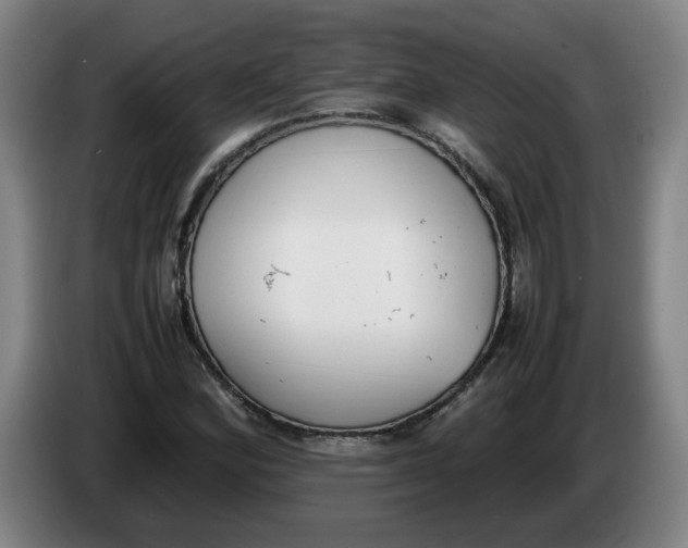 X0000086331164200704202036