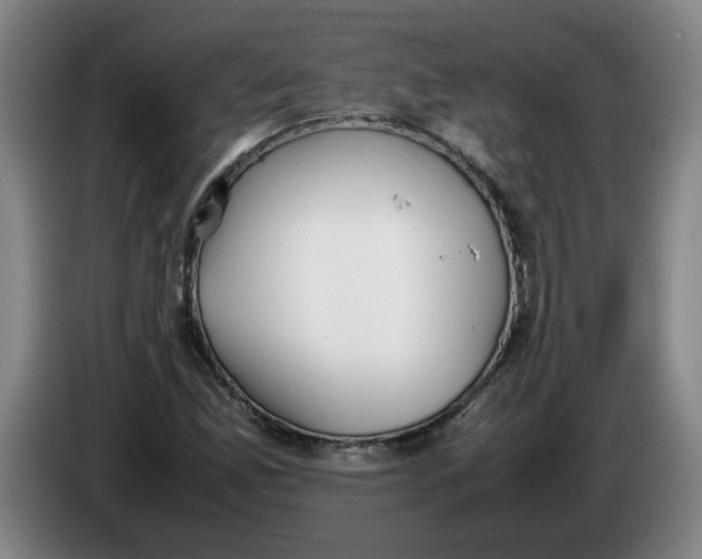 X0000086331165200704202036