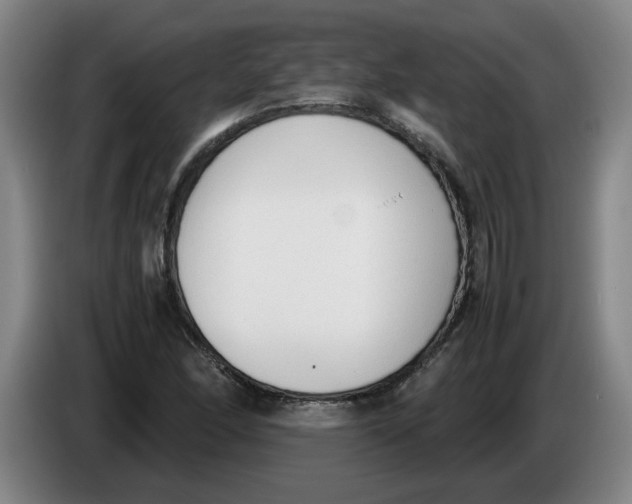 X0000086331166200704202036