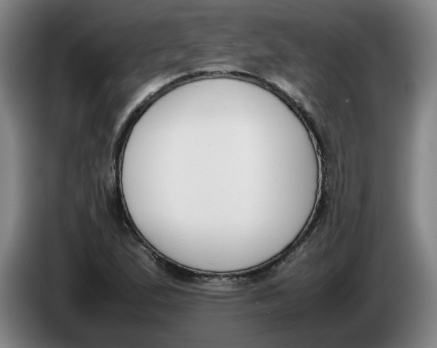 X0000086331167200704202036