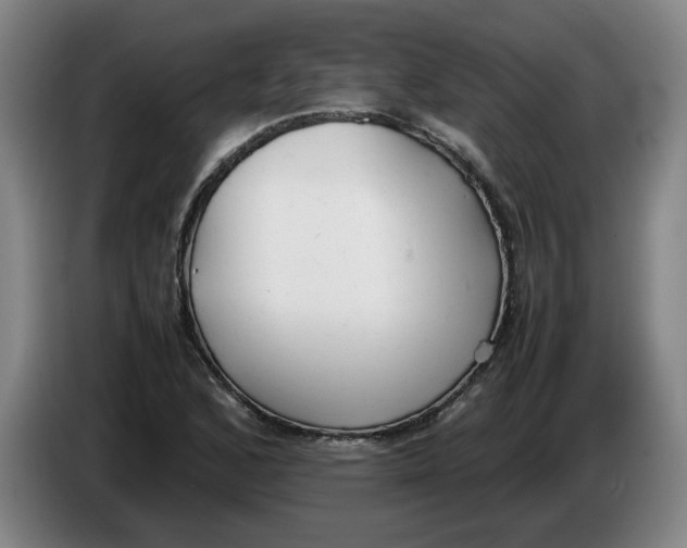 X0000086331168200704202036