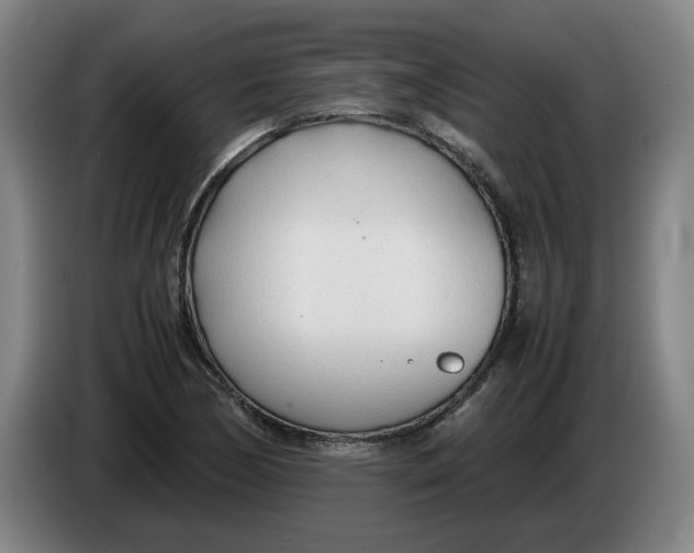 X0000086331170200704202036