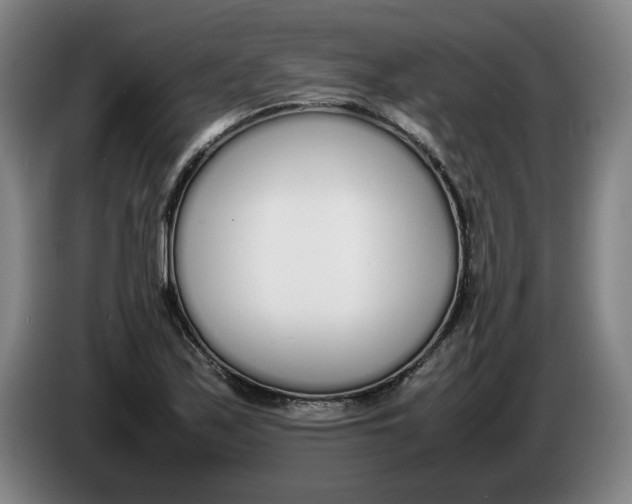 X0000086331171200704202036