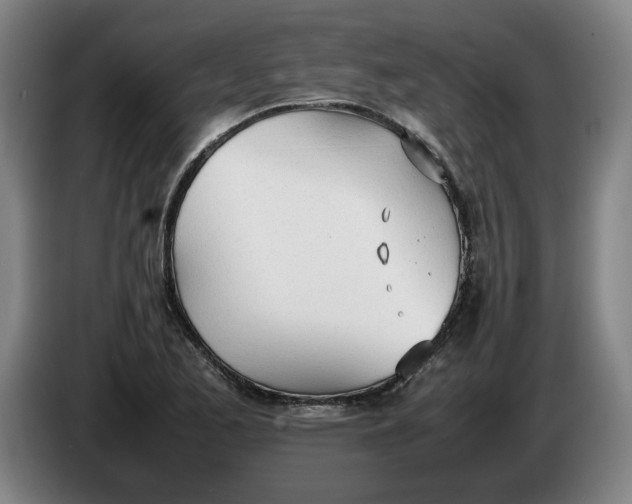 X0000086331173200704202035