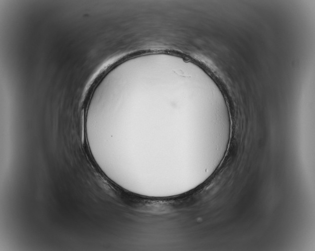 X0000086331175200704202035