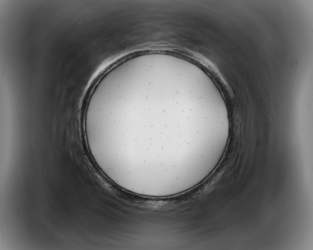 X0000086331176200704202035