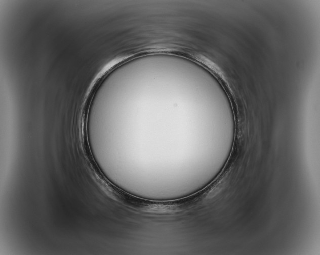 X0000086331179200704202035