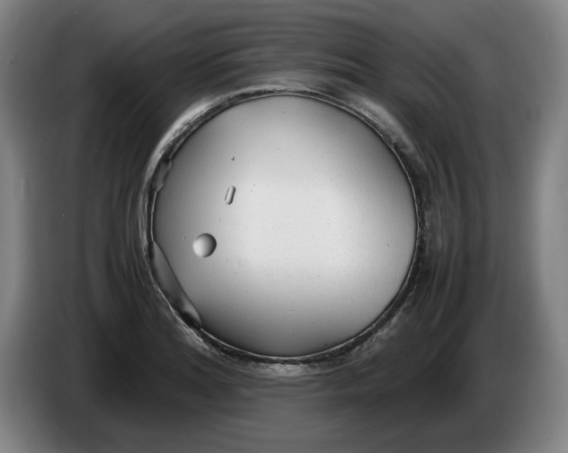 X0000086331180200704202035