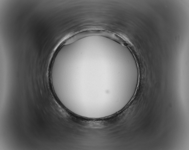 X0000086331181200704202035