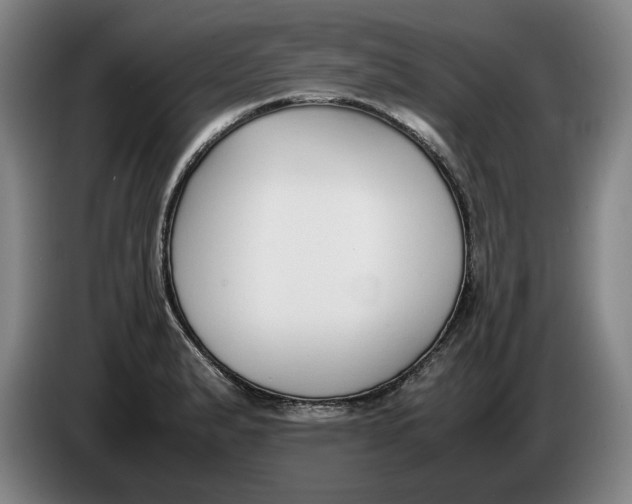 X0000086331183200704202035