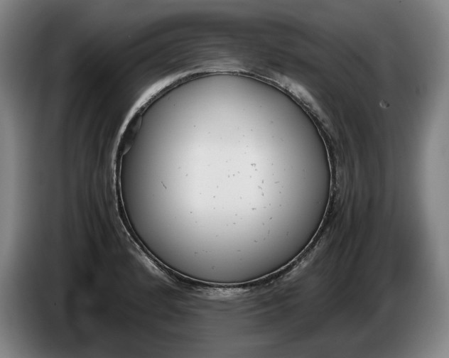 X0000086331184200704202035