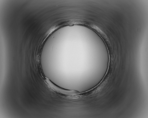 X0000086331185200704202035