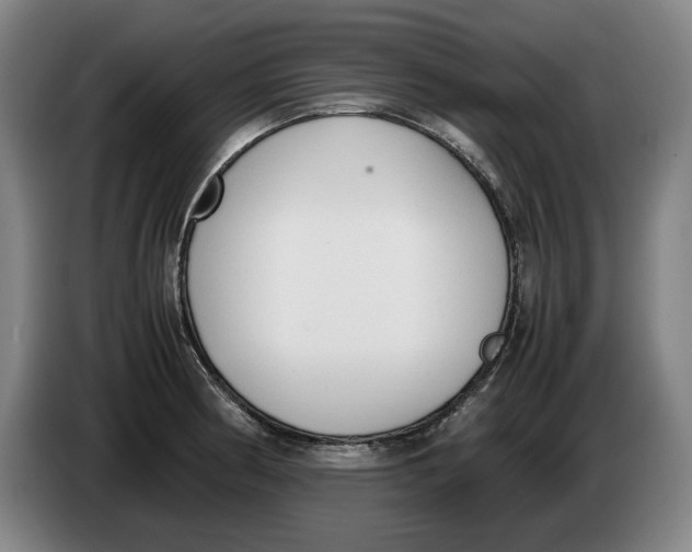 X0000086331186200704202035