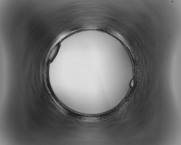 X0000086331187200704202035