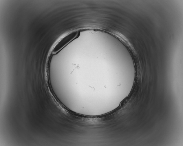 X0000086331188200704202035