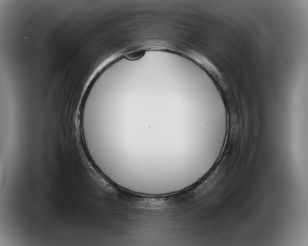 X0000086331190200704202035