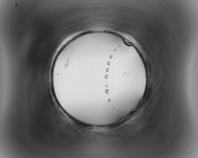 X0000086331191200704202035