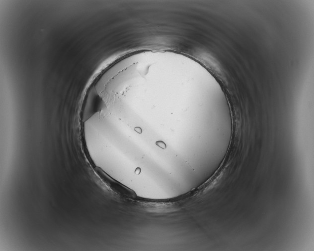 X0000086331192200704202035