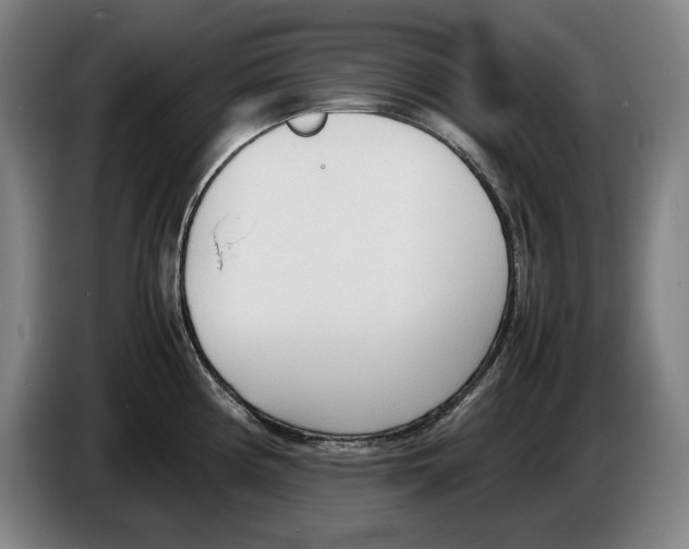 X0000086331194200704202035