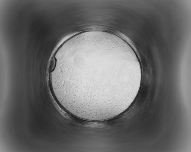 X0000086331195200704202035