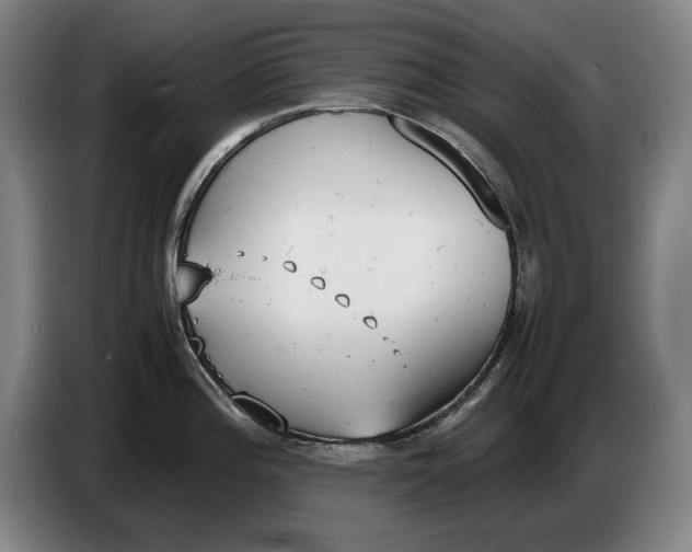 X0000086331196200704202035