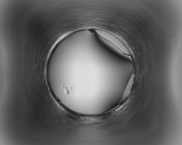 X0000086331197200704202035