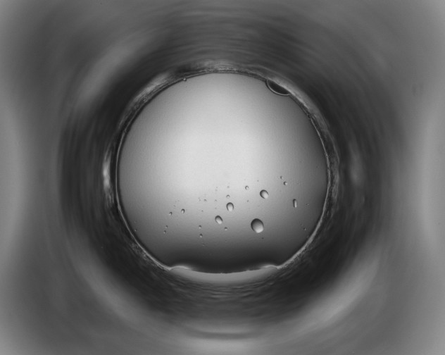 X0000086331198200704202035